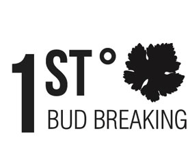 Bud Breaking