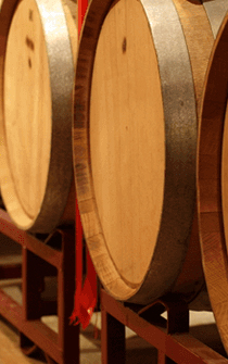 Large oak wood barrels lined up full of aging wine